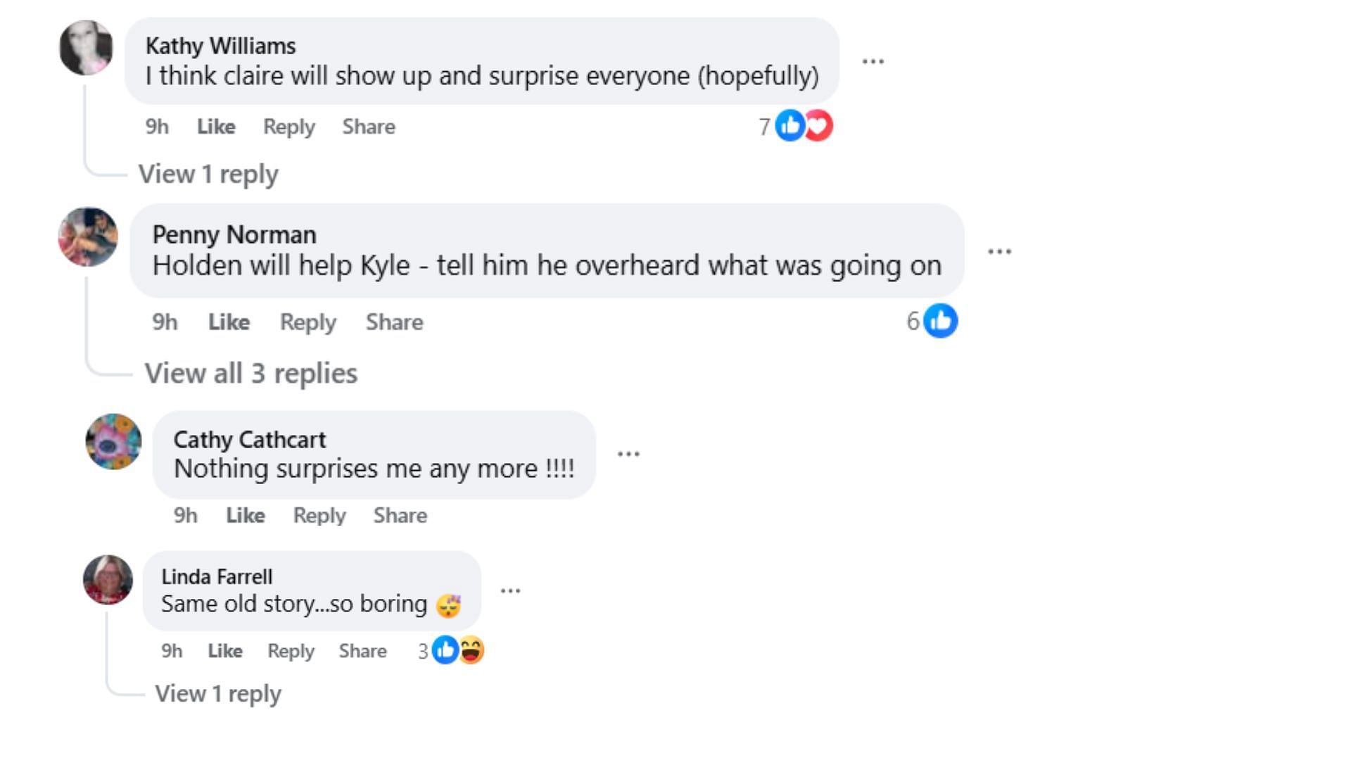 Comments by fans on the post (Image via Facebook/@Debbie Forte)